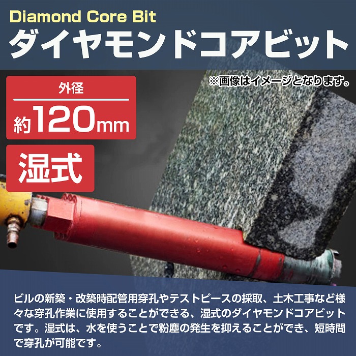海外 早乙女 シャンピングハットコスモスハード14吋用 1個 品番：CO-100102-8-0