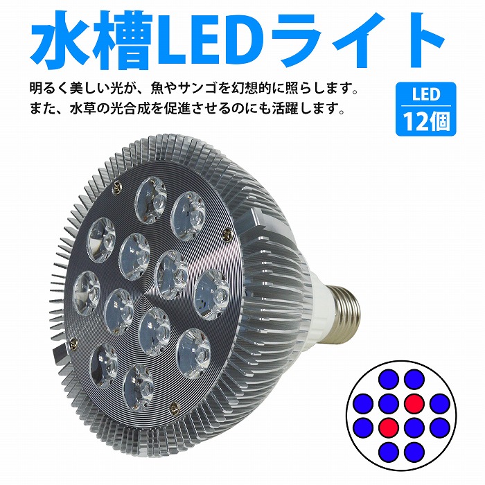 楽天市場 12led 交換電球 スポットライト 24w 2w 12 青10 赤2 E26 水槽 照明 水草 サンゴ 熱帯魚 観賞魚 植物育成 Wide Range