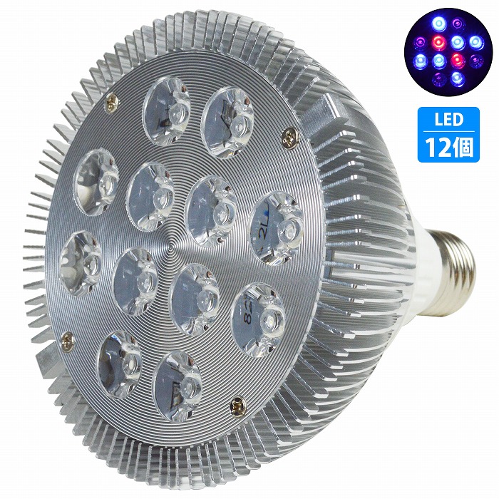 50 Off 12led 交換電球 スポットライト 24w 2w 12 青6 赤2 紫外線4 E26 水槽 照明 水草 サンゴ 熱帯魚 観賞魚 植物育成
