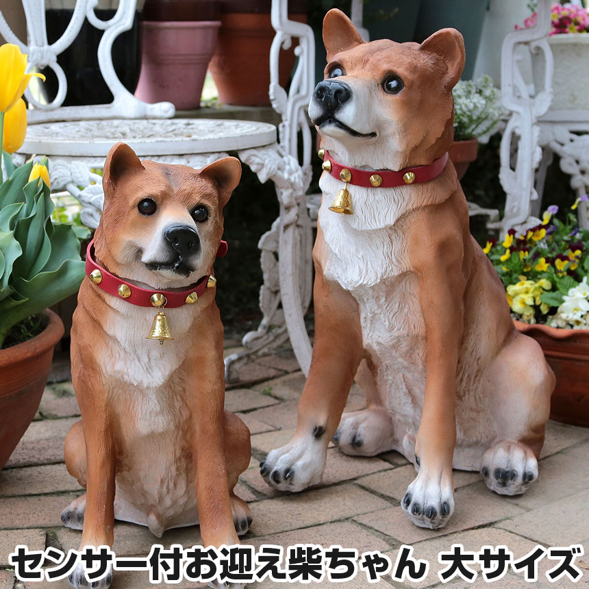 在庫あり 即納 送料無料 センサー付お迎え柴ちゃん 大サイズ 暮らしの幸便 新聞掲載 わんわん小太郎 犬 置物 玄関 いぬ 動物 センサー 番犬 玄関置物 柴犬 インテリア 置物 ガーデニング 防犯 グッズ 防犯 玄関 セキュリティ 防犯グッズ 防犯対策 お出迎え