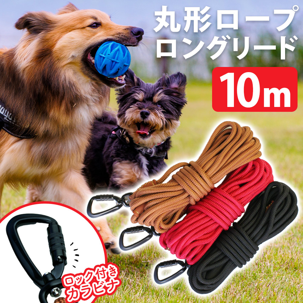 楽天市場】【送料無料】 ロングリード【15m】小型犬用 中型犬用 大型犬用 ロープ 犬 リード 絡まりにくい 長い 丸ひも 丸ロープ 軽量 シンプル  紐 丈夫 絡まない 360度回転 ねじれにくい 高品質 ロック付きカラビナ ほどきやすい ドッグラン 訓練 庭 : いつもショップ