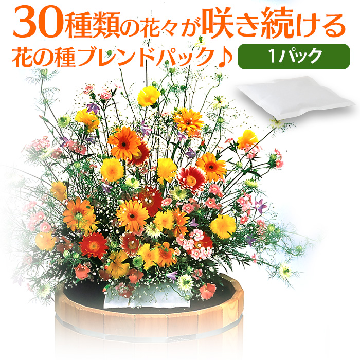 ４月 ５月が蒔き時 育てやすい お花の種のおすすめランキング 1ページ ｇランキング