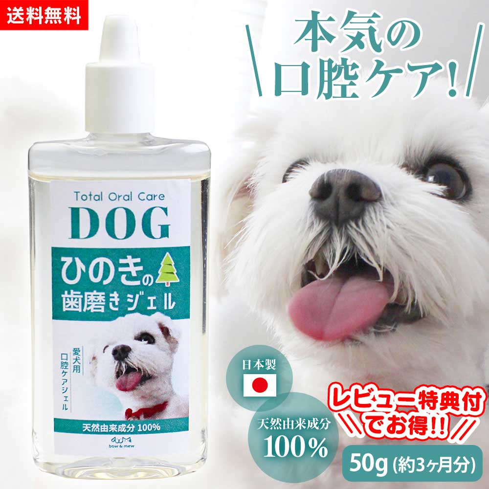 ２個売り 専用木曽檜ジェル 愛犬用口腔ケアジェル 80g Amazon.co.jp: 犬猫の全犬種・全年齢 木曽檜歯磨きジェル ぬり