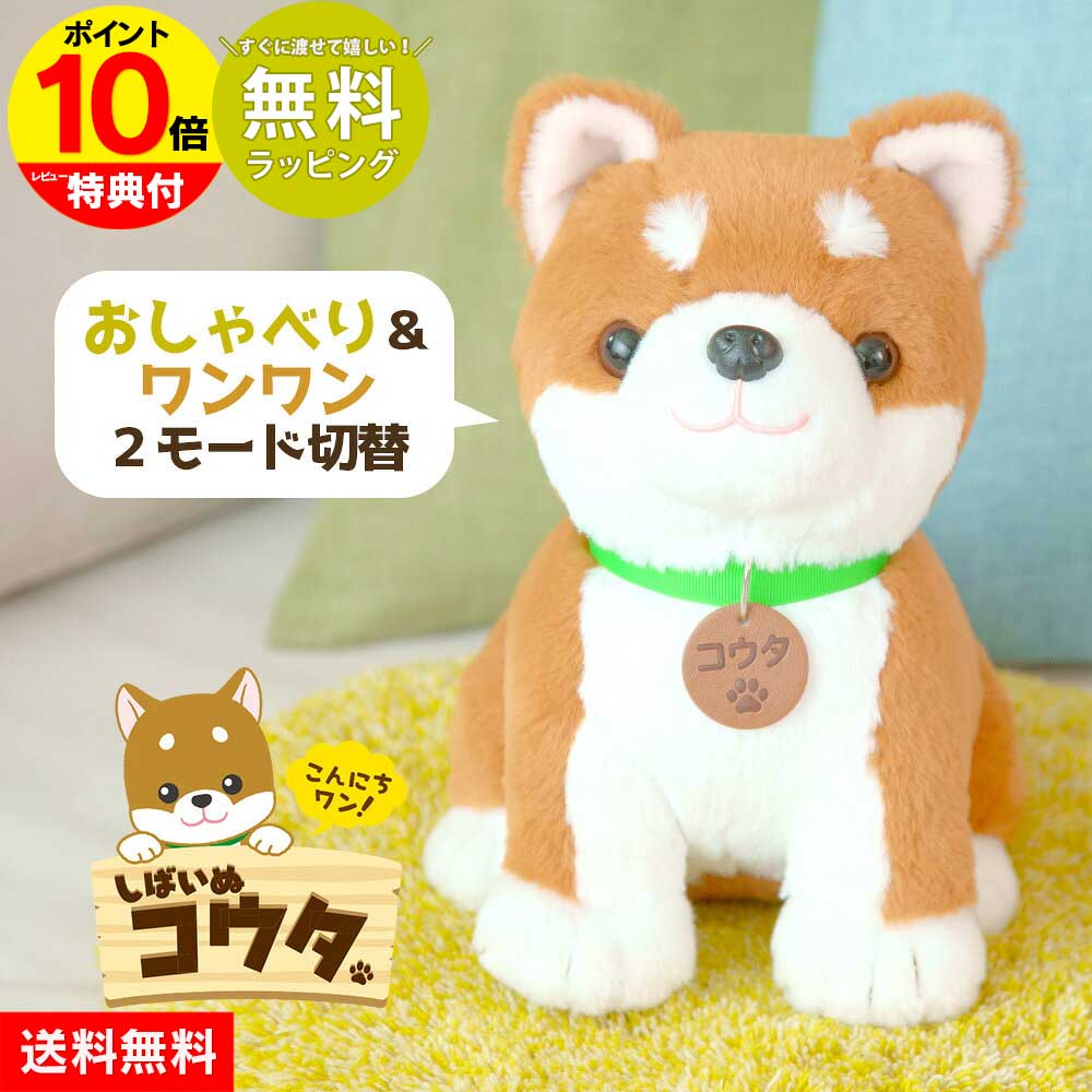 新商いもの入荷しています！