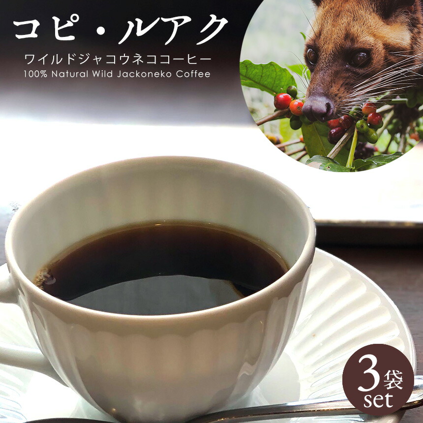 送料無料 ジャコウネコ コーヒー 3袋セット 30g 珈琲 ワイルドジャコウネココーヒー コピ ルアク コーヒー豆 粉末 ギフト コピルアック 高級 プレゼント レギュラーコーヒー シティロースト アロマ 焙煎 熟成 野生 インドネシア おいしい 人気 高級コーヒー Marcsdesign Com 送料無料 ジャコウネコ コーヒー 3袋セット 30g 珈琲 ワイルドジャコウネココーヒー コピ ルアク コーヒー豆 粉末 ギフト コピルアック 高級 プレゼント レギュラーコーヒー シティロースト アロマ 焙煎 熟成 野生 インドネシア おいしい 人気 高級コーヒー Marcsdesign Com