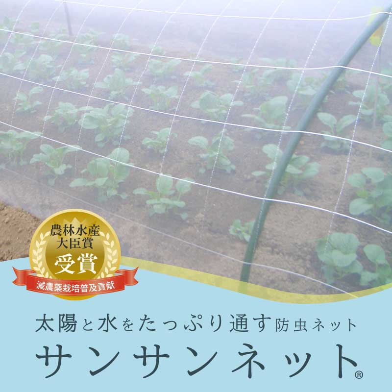 ワイドクロスショップ 百貨店大売り出し会場