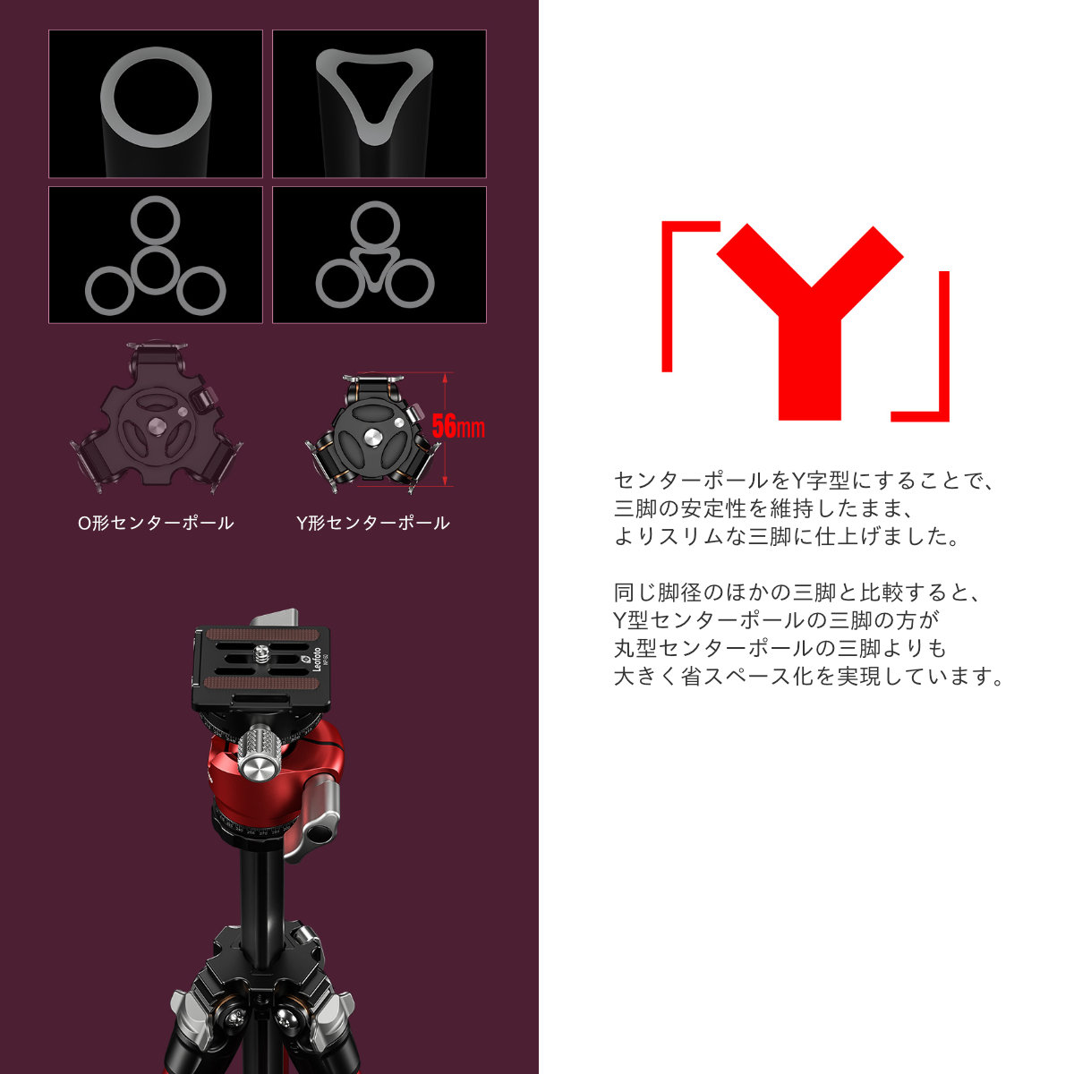 レオフォトLeofoto LY-224C+LH-25R (Mr.Y) 三脚・雲台 | tspea.org