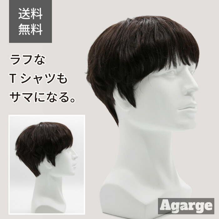 楽天市場】【送料無料】メンズウィッグ ミドルエイジ 男性用かつら