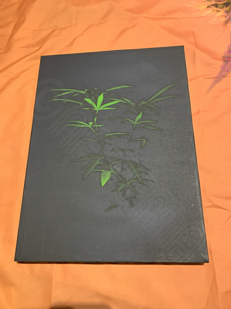 楽天市場 マリファナ バッズ 4 カンナビス 麻 Thc テトラヒドロカンナビノール Marijuana サイケデリック 幻想的 瞑想 高画質パネルアートパネル 壁掛け 30x40cmcm インテリア キャンバス 木枠付き ポスター インディカ サティバ Wigggy Oridinal Desgin Shop