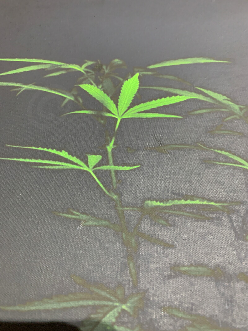 楽天市場 マリファナ バッズ 4 カンナビス 麻 Thc テトラヒドロカンナビノール Marijuana サイケデリック 幻想的 瞑想 高画質パネルアートパネル 壁掛け 30x40cmcm インテリア キャンバス 木枠付き ポスター インディカ サティバ Wigggy Oridinal Desgin Shop