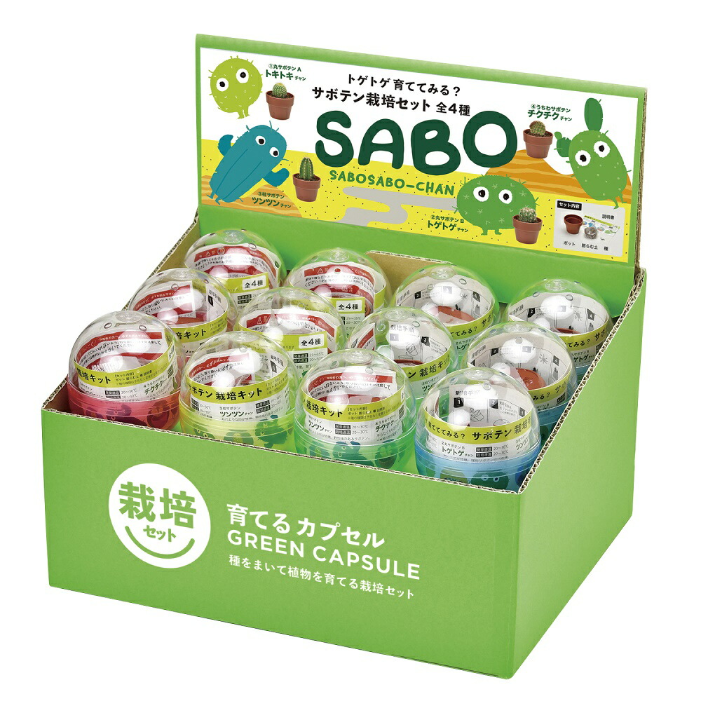 送料無料 育てるカプセル サボテン Green Capsule 24個入化粧箱セット 4種のサボテン栽培セット 聖新陶芸 ガーデニング インテリア雑貨 観葉植物 Salon Raquet De