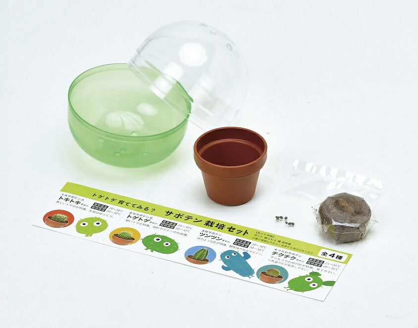 送料無料 育てるカプセル サボテン Green Capsule 24個入化粧箱セット 4種のサボテン栽培セット 聖新陶芸 ガーデニング インテリア雑貨 観葉植物 Salon Raquet De