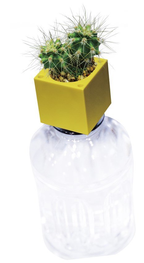 楽天市場 Green Toy グリーントイ かわいいサボテン ペットボトルで育てる栽培セット 景品 栽培セット 聖新陶芸 観葉植物 プチ菜園 インテリア雑貨 ガーデニング ギフト プレゼント ウィッグの専門店ウィッグランド