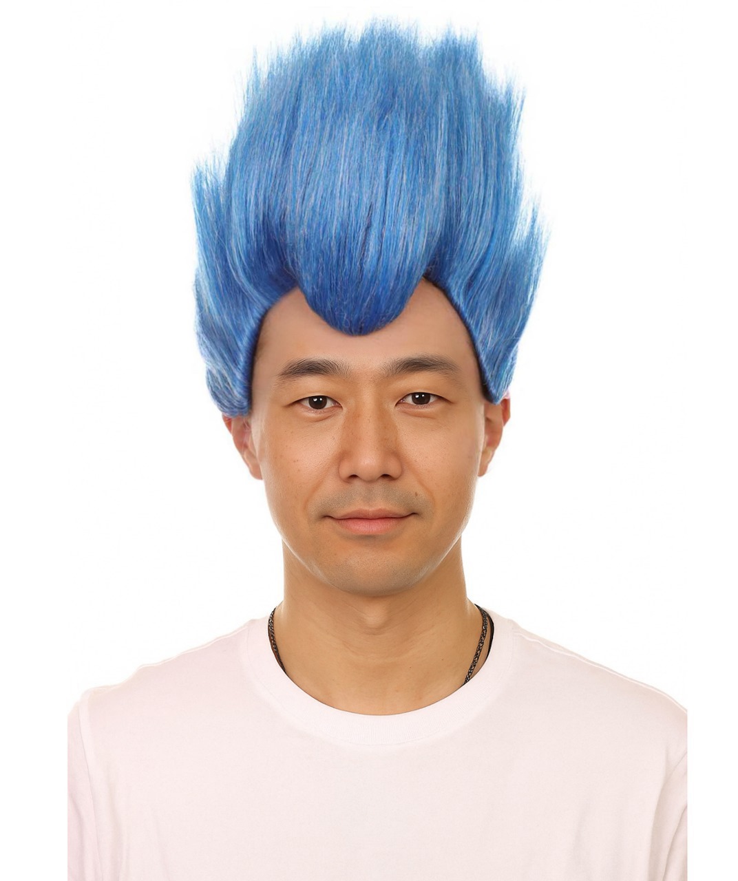 【即納】かつら ウィッグ H-5616 ハデス ヘラクレス ヴィラン ブルー 青 ワールドカップ オリンピック 舞台 クリスマス コスプレ 姫 ディズニー 映画 USJ お揃い 忘年会 新年会 劇団 男装 女装 仮装 イベント 応援 コスチューム ハロウィン 被り物 小道具画像