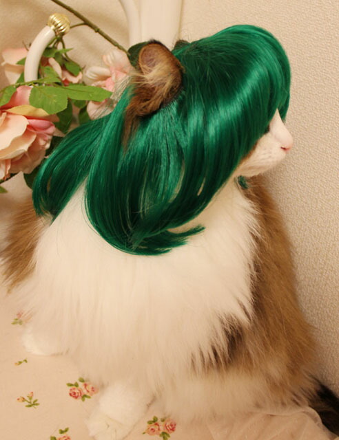 Wigs2you It Is For Dog Cat Sarah つや Hair Disguise