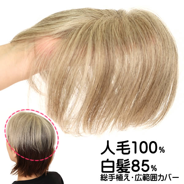 ウィッグ 白髪 薄毛隠し 女性 人毛 しらが 円形脱毛症 部分ウィッグ ポイントウィッグ 増毛 人気 つむじカバー ストレート グレーヘアー 人毛 tk1000