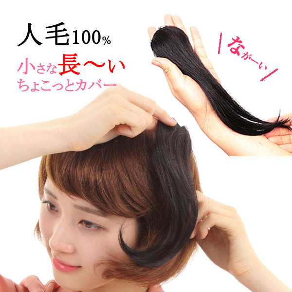 ウィッグ　ヘアピース　人毛100％　増毛　半手植え　ポイントウィッグ　円形脱毛症　部分ウィッグ　kz3　送料無料　つむじカバー