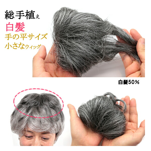 ウィッグ 白髪 しらが 分裂ウィッグ カ所ウィッグ かつら 総手植え Tk7 Daemlu Cl