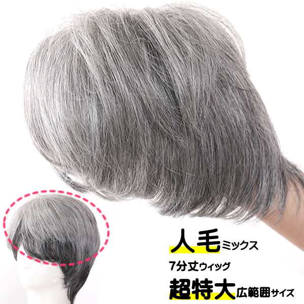 ウィッグ 白髪 薄毛包みかくし お上さん 成人男性 人毛 しらが 巡回脱毛症 分け取りウィッグ ポイントウィッグ 増毛 一般受け つむじ取りまかなう グレーヘアー 人毛入り合わせる 七分丈ウィッグ wig-sp301