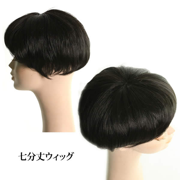 Tn1 ウィッグ ヘアピース ミセス 耐熱 特大 ポイントウィッグ ミセス 部分かつら 特大 簡単固定 ｗｉｇ 人気 ヘアピース 送料無料 部分ウィッグ 七分丈ウィッグ ルネス広範囲カバー 白髪隠し