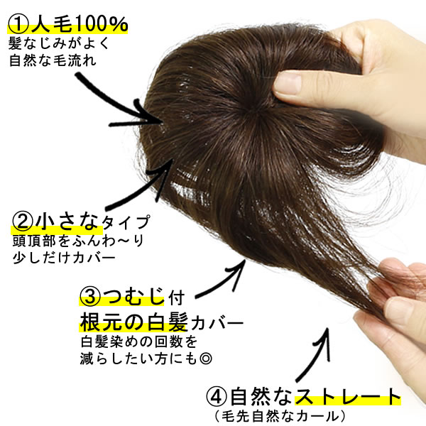 ウィッグ 部分ウィッグ ヘアピース 人毛100％ 円形脱毛症 ポイント