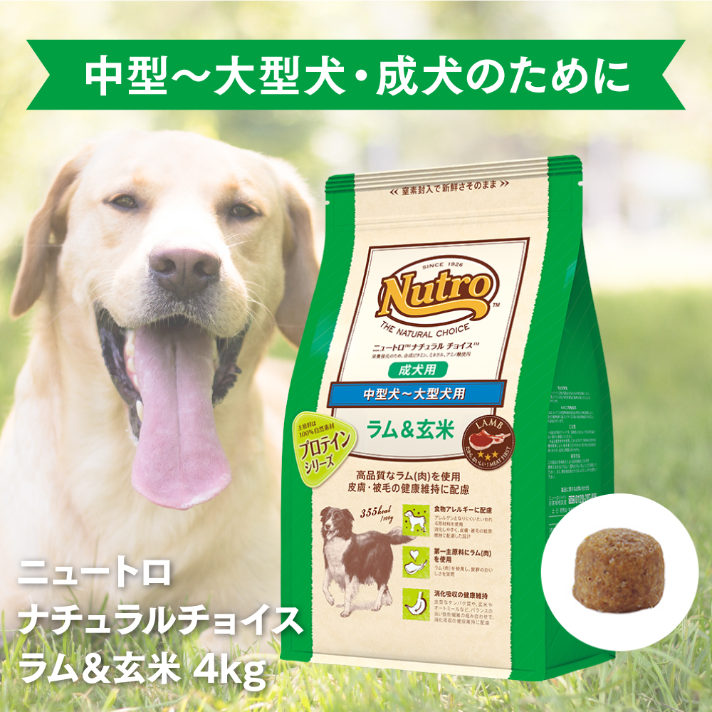 ○正規品 ニュートロ ナチュラルチョイス ラム&玄米 中～大型犬用 成犬