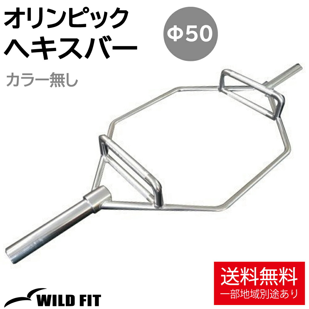 ワイルドフィット 15kgプレート2枚セット WILD FIT アイアン レギュラー プレート 15kg (2枚) 《返品