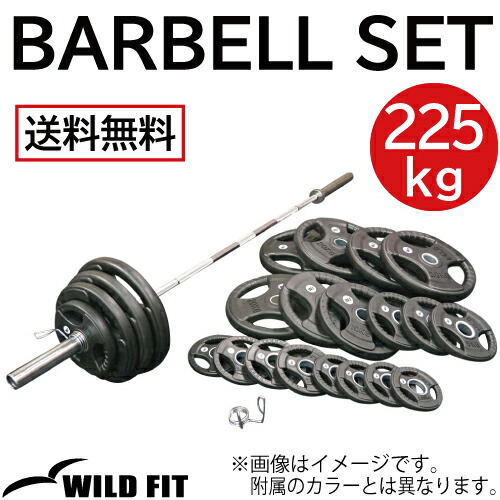 オリンピックバーベル&プレート200kg FPL007〈2枚セット〉／業務用オリンピックプレート25kg