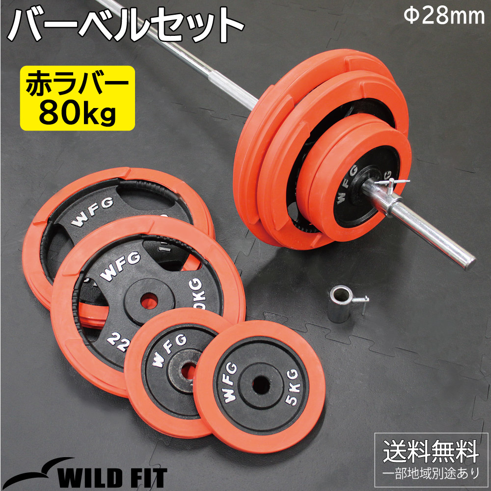[発送不可] WFG 20KG ダンベルプレート2枚セット Amazon | FKstyle ダンベル 20kg セット バーベル 可変式 2個