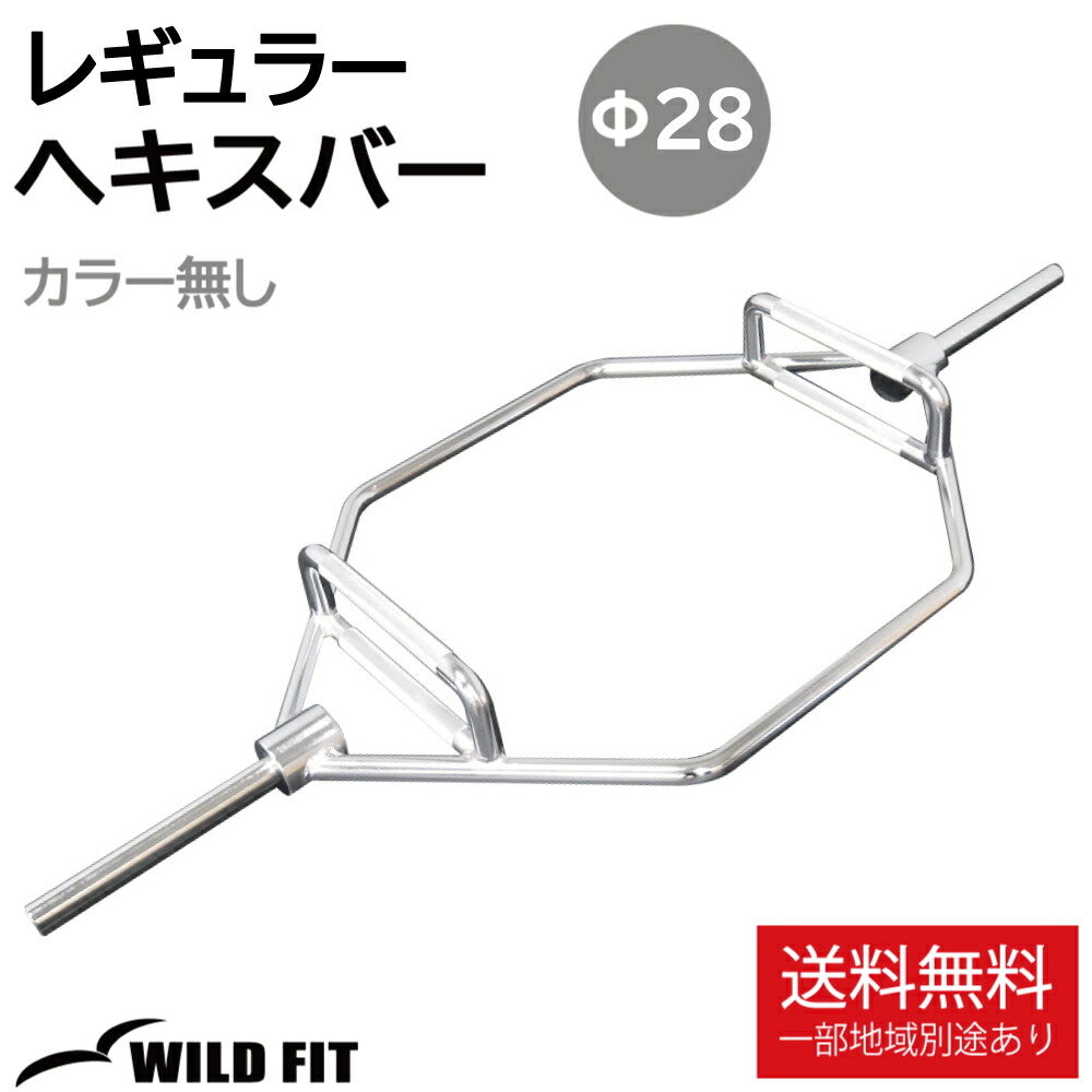 EZバー　 28mm 1200mm アームカール 楽天市場】Wバー スクリューカラー2個付EZバー 28mm 送料無料