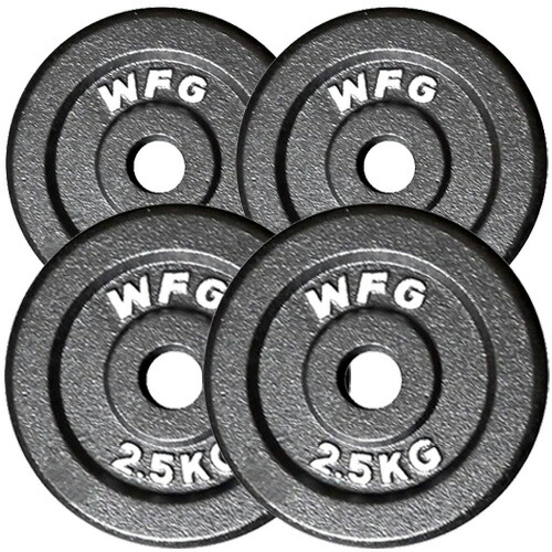 楽天市場】アイアン レギュラープレート 10kg （2枚）《返品・交換不可