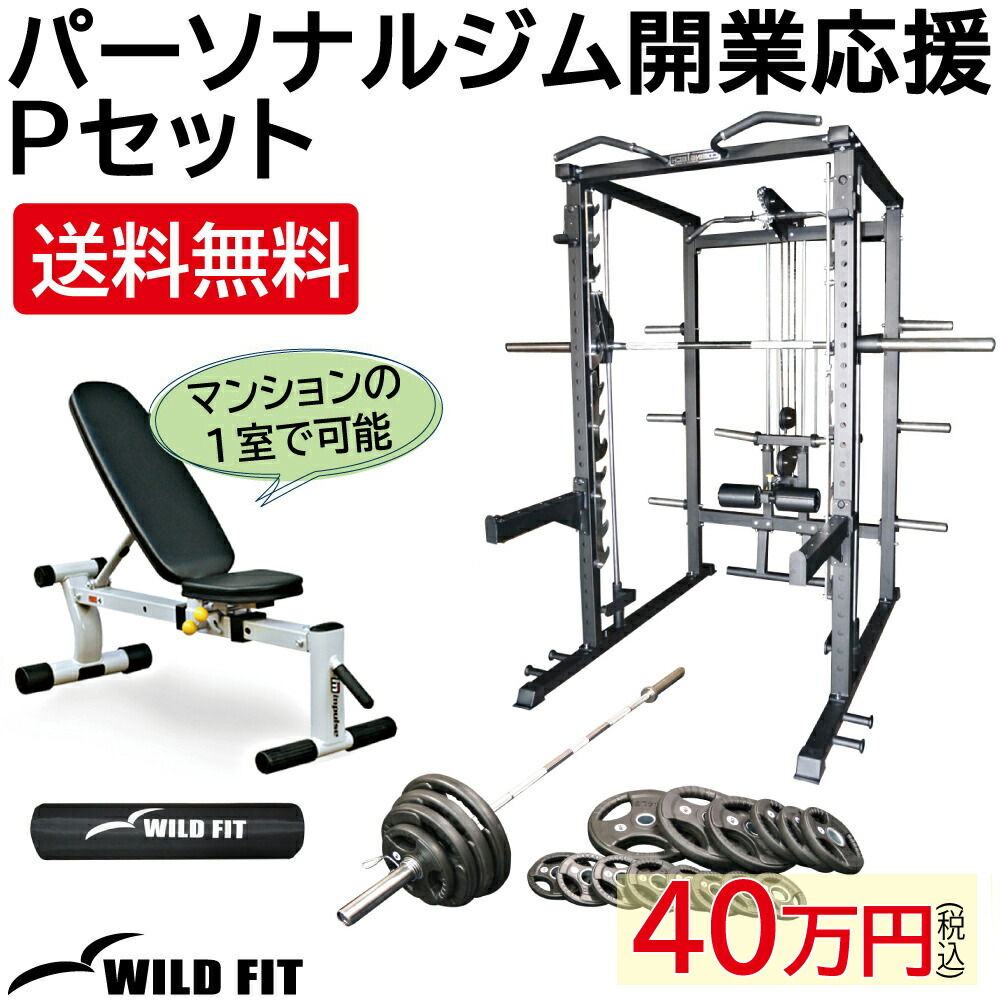 COMING TECH フルボディトレーナー (Φ50)  新品未使用 WILD FIT ワイルドフィット [即納OK] フルボディトレーナー (Φ50