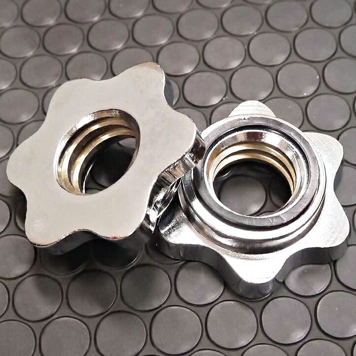 楽天市場】ダンベルシャフト 550mm 2本セット(スクリューカラー付