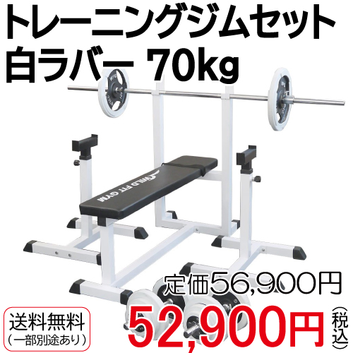 格安SALEスタート】 WILD FIT ワイルドフィット トレーニングジム