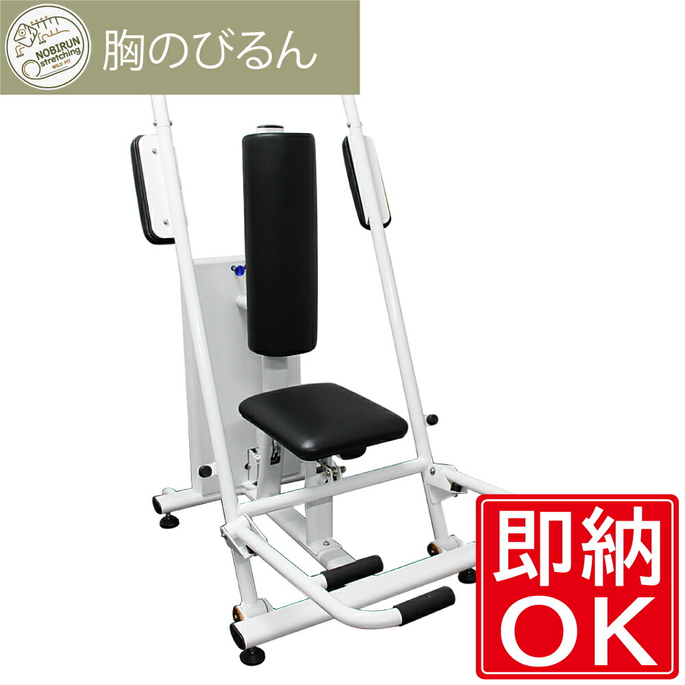 【送りとどける据え付ける商いもの】 胸のびるん (チェストプレス) [黒]貨物輸送無料 動的伸ばすこと 体育館 事務室 運動すること物の具 社会復帰 老いらく者 役立つこと読み合わせる 形づくる器械 弾機 伸ばすこと [WILD FIT ワイルドフィット]