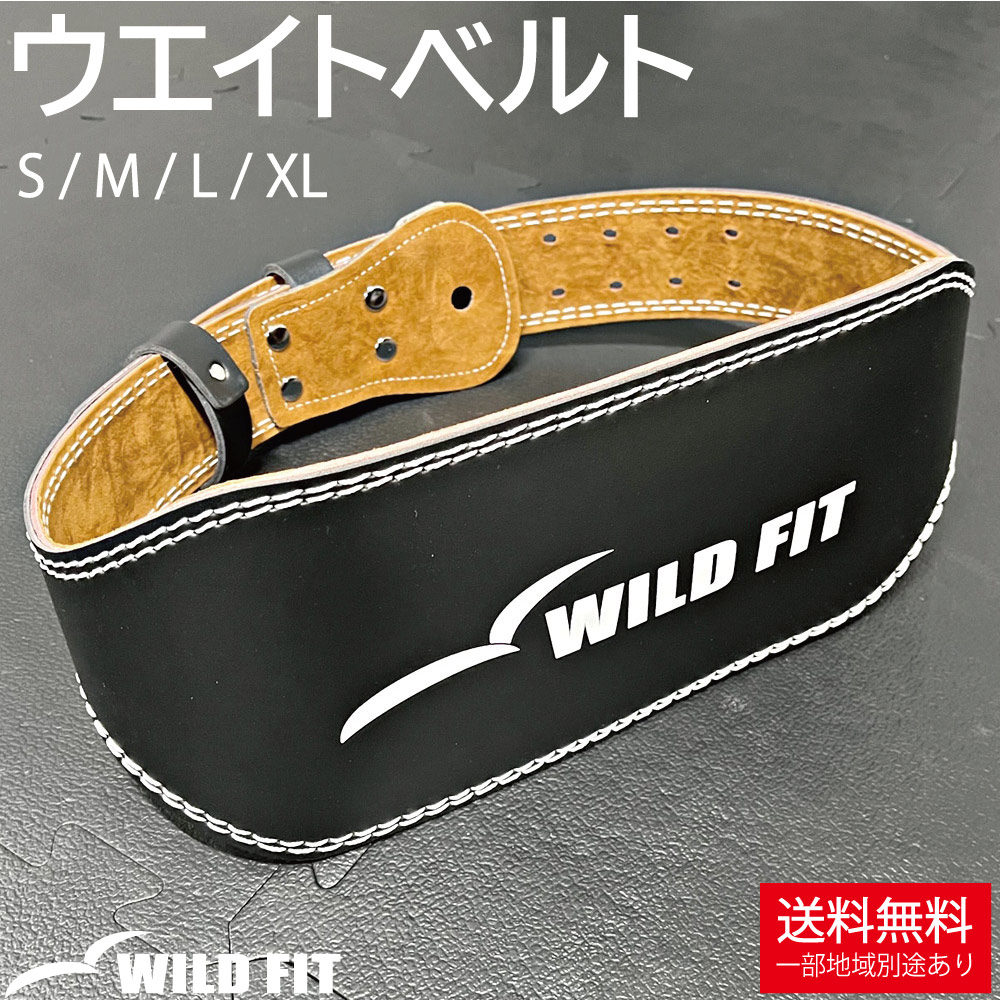 プレートラック　プレートツリー　 [WILD FIT ワイルドフィット] WILD FIT ワイルドフィット プレートラック / トレーニング 高