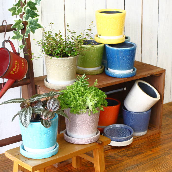 楽天市場】【安心サポート付】カラフル 植木鉢・鉢受けセット （3号・4