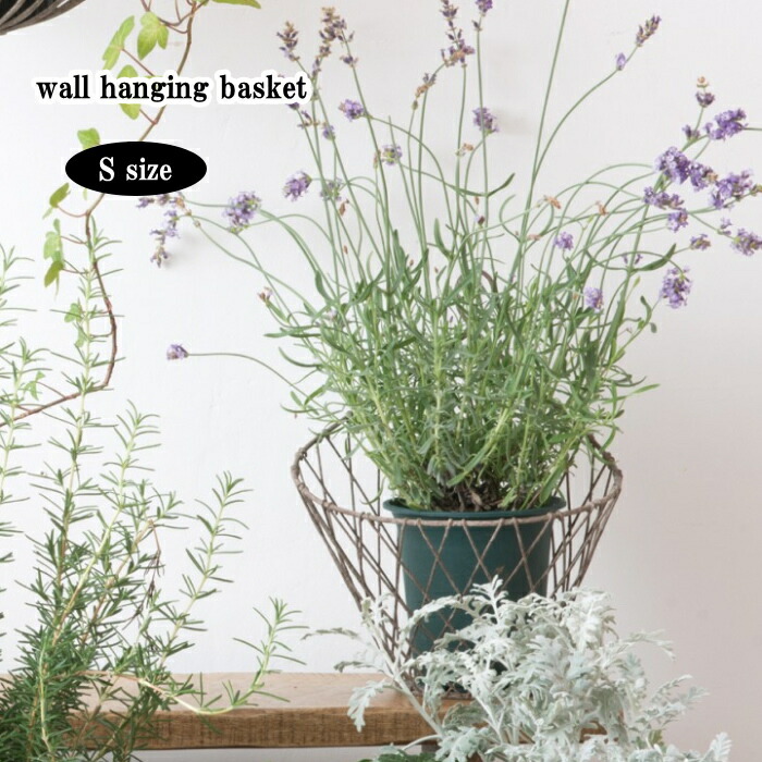 楽天市場】フラワースタンド おしゃれ アイアン プランタースタンド