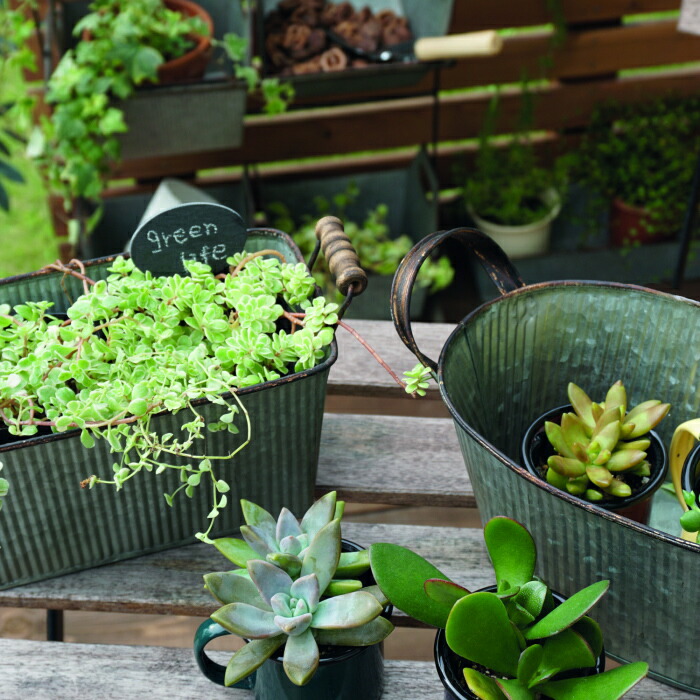 楽天市場】植木鉢 おしゃれ プランター 長方形 ブリキ 鉢 アンティーク