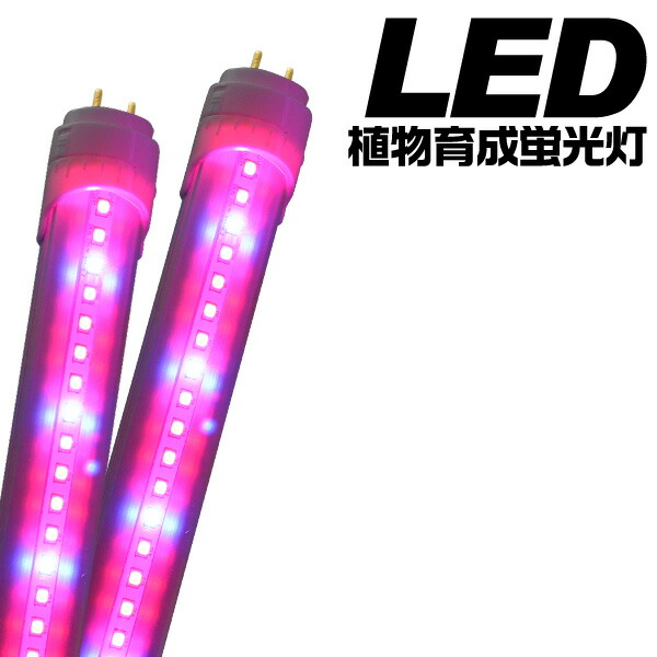 楽天市場 保証付 植物育成用led蛍光灯 1cmタイプ 口金g13 22w 345lm 植物育成ライト 植物育成ledライト ランプ 1万時間保証 グロースターター式なら工事不要 省エネ 省電力 角度調整10段階 節税 激安輸入雑貨通販の店 Wilmart