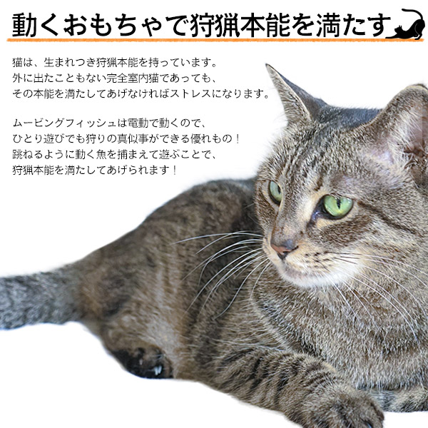 楽天市場 送料無料 動く魚 猫用おもちゃ ムービングフィッシュ 5種 金魚 ます 鯉 鮭 淡水魚 Usb充電式 電動魚 ねこちゃん ネコ 運動不足解消に ペット用品 猫用品 電池交換不要 ストレス解消 激安輸入雑貨通販の店 Wilmart