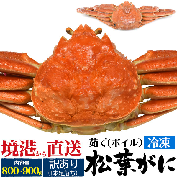 送料無料 訳あり 松葉ガニ 800g 900g前後 1脚本お御足結 煮立てる封鎖 ズワイガニ 山陰からめ捕る 境港工作 国産 おくり物 お取り寄せ 送料込み 松葉カニ 松葉がに かに カニ ずわいがに ボイル 茹で蟹 ブランド松葉ガニ まつばがに 釜茹で 鳥取県 島根県 1カップ 1匹 杯