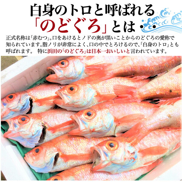 送料無料 のどぐろ一夜干し 5枚セット 大サイズ約180g 1 小サイズ約110g 4 山陰浜田から直送 ひもの 干物 産地直送 ノドグロ あかむつ アカムツ 赤むつ 贈り物 ギフト お取り寄せ 贈答用 魚 島根県産 プレゼント お祝い のど黒 国産 内祝い のし対応 熨斗対応 Kanal9tv Com