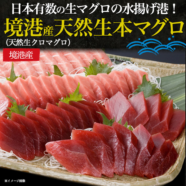 送料無料 天然生本マグロ 食べ比べ3種セット 1kg 生クロマグロ 大トロ 中トロ 大とろ 中とろ 赤身 鳥取県境港産 山陰 天然本まぐろ 未冷凍 鮪 ギフト お取り寄せ 贈答 プレゼント 国産 内祝い 送料込み 産地直送 産直 天然本マグロ 刺身 手巻き寿司 お寿司 1000g 冷蔵便