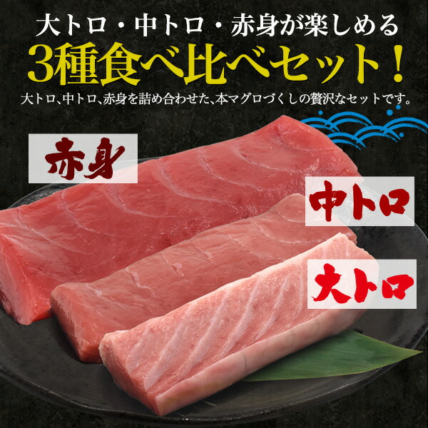 送料無料 天然生本マグロ 食べ比べ3種セット 1kg 生クロマグロ 大トロ 中トロ 大とろ 中とろ 赤身 鳥取県境港産 山陰 天然本まぐろ 未冷凍 鮪 ギフト お取り寄せ 贈答 プレゼント 国産 内祝い 送料込み 産地直送 産直 天然本マグロ 刺身 手巻き寿司 お寿司 1000g 冷蔵便
