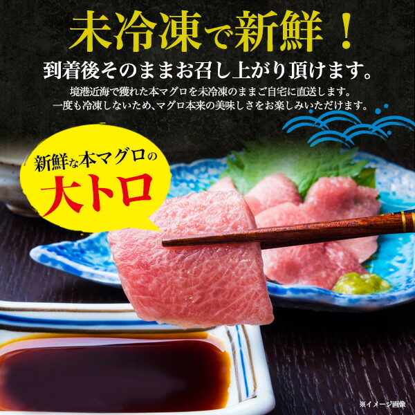 送料無料 天然生本マグロ 食べ比べ3種セット 1kg 生クロマグロ 大トロ 中トロ 大とろ 中とろ 赤身 鳥取県境港産 山陰 天然本まぐろ 未冷凍 鮪 ギフト お取り寄せ 贈答 プレゼント 国産 内祝い 送料込み 産地直送 産直 天然本マグロ 刺身 手巻き寿司 お寿司 1000g 冷蔵便