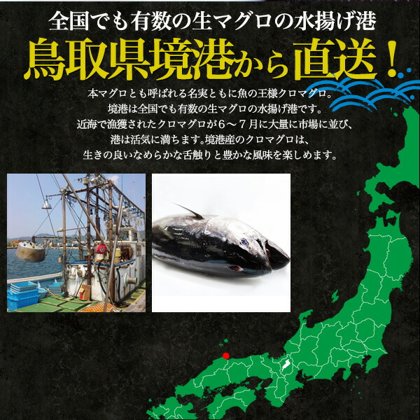 送料無料 天然生本マグロ 食べ比べ3種セット 1kg 生クロマグロ 大トロ 中トロ 大とろ 中とろ 赤身 鳥取県境港産 山陰 天然本まぐろ 未冷凍 鮪 ギフト お取り寄せ 贈答 プレゼント 国産 内祝い 送料込み 産地直送 産直 天然本マグロ 刺身 手巻き寿司 お寿司 1000g 冷蔵便
