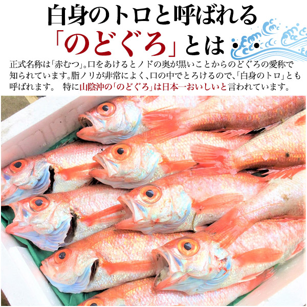 送料無料 山陰沖産 のどぐろ 特大サイズ 約250 300g 4尾セット 4枚 ひもの 干物 産地直送 ノドグロ あかむつ アカムツ 赤むつ 贈り物 ギフト お取り寄せ 贈答用 高級魚 プレゼント お祝い のど黒 国産 浜田 島根 内祝い のし対応 真空パック 冷凍配送 4匹 白身のトロ