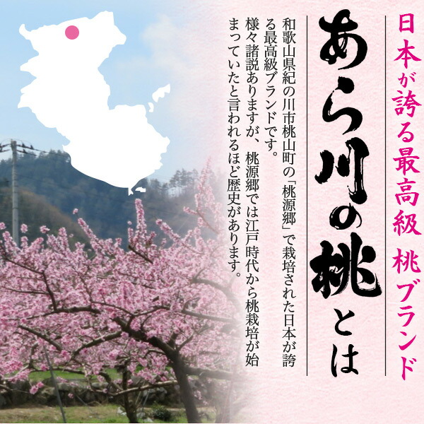 送料無料 あら川の桃 糖度13度以上 高糖度 和歌山県産 幻の桃 白鳳 最上等級 4lサイズ 御中元 赤秀品 11 12玉 大玉 約4kg 最高級ブランド 箱入り