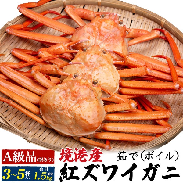 予約 送料無料【A級品 訳あり 茹で 紅ズワイガニ 3～5杯 合計1.5kg前後 】鳥取県 境港産 山陰 贈り物 ギフト お取り寄せ 通販 プレゼント 国産 新年会  送料込み  カニ ボイル ずわいがに 釜茹で 蟹みそ かにみそ 未冷凍 産地直送 産直 4匹 5匹 ベニズワイ 冷蔵【H】【K】